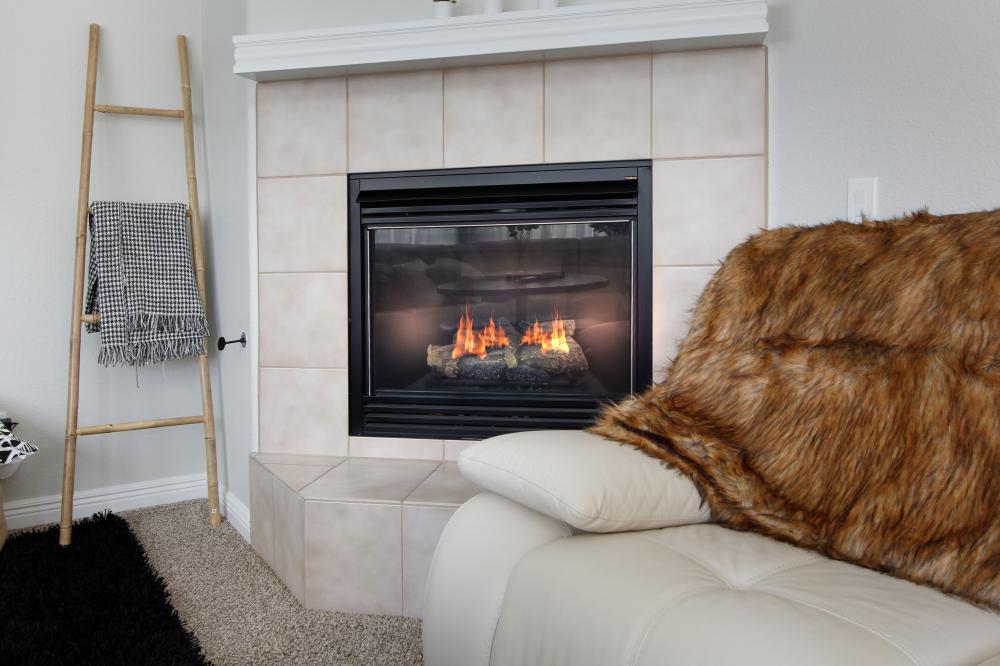 salon avec cheminée à gaz
